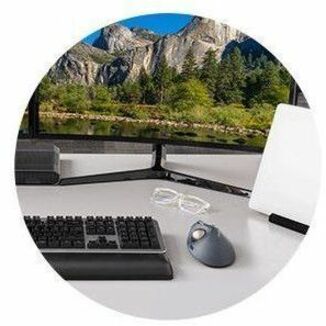 Kensington Pro Fit TB550 Mouse