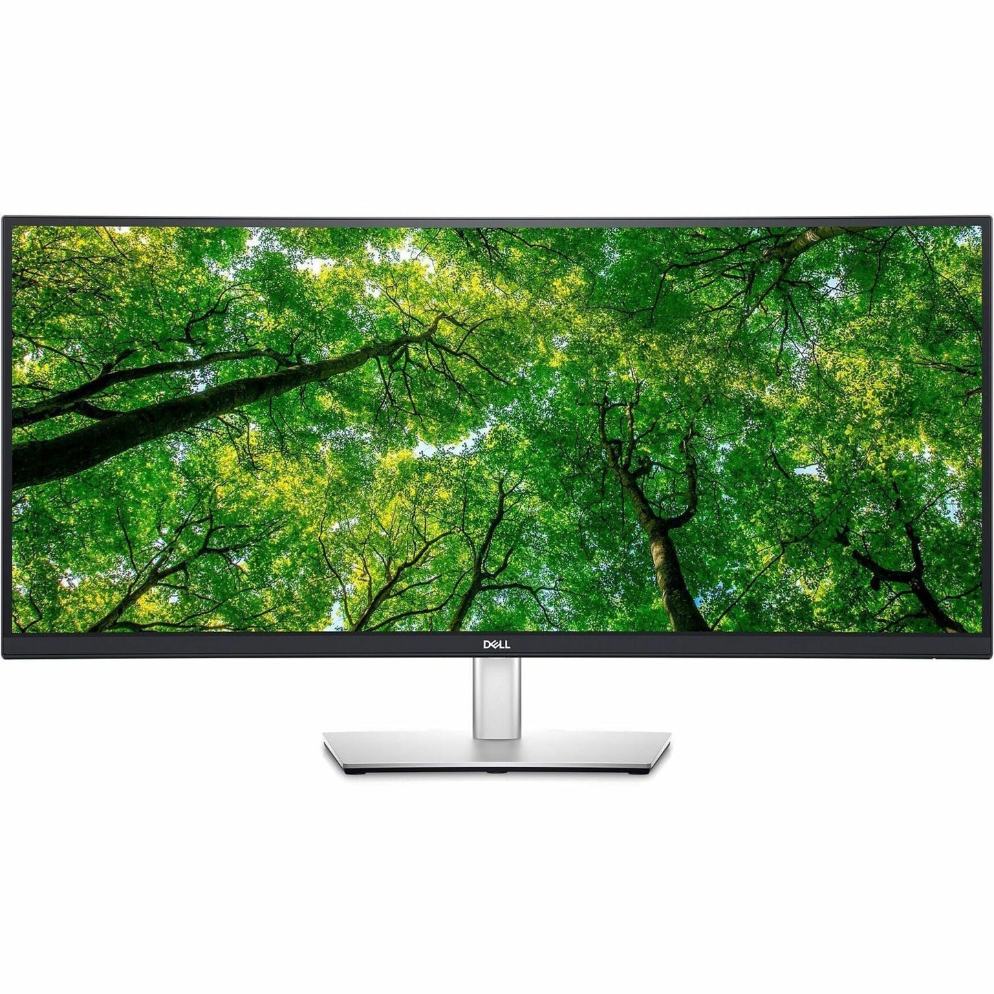 Dell P3424WE 34.1" UW-QHD Curved Screen LED Monitor - 21:9