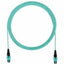 Panduit Fiber Optic Trunk Network Cable