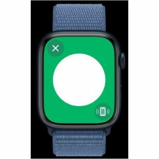 Apple Watch Series 9 Smart Watch