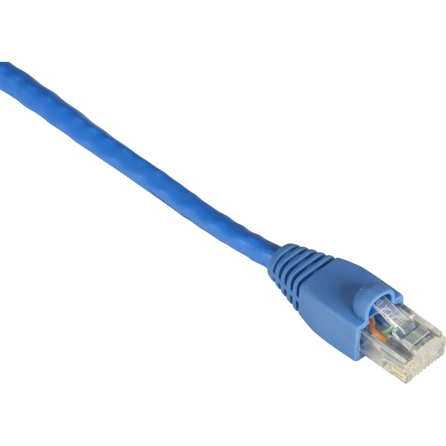 3FT BLUE CAT6 550MHZ PATCH CABL