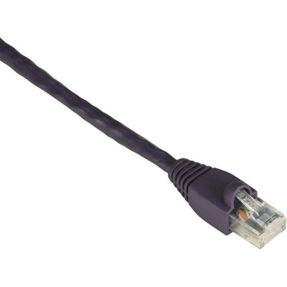 10FT CAT6 VIOLET UTP CM        