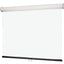 Draper Luma 2 Manual Wall and Ceiling Projection Screen