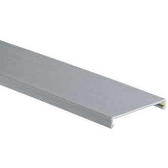 PANDUIT 6ft Panduct Wiring Duct Cover